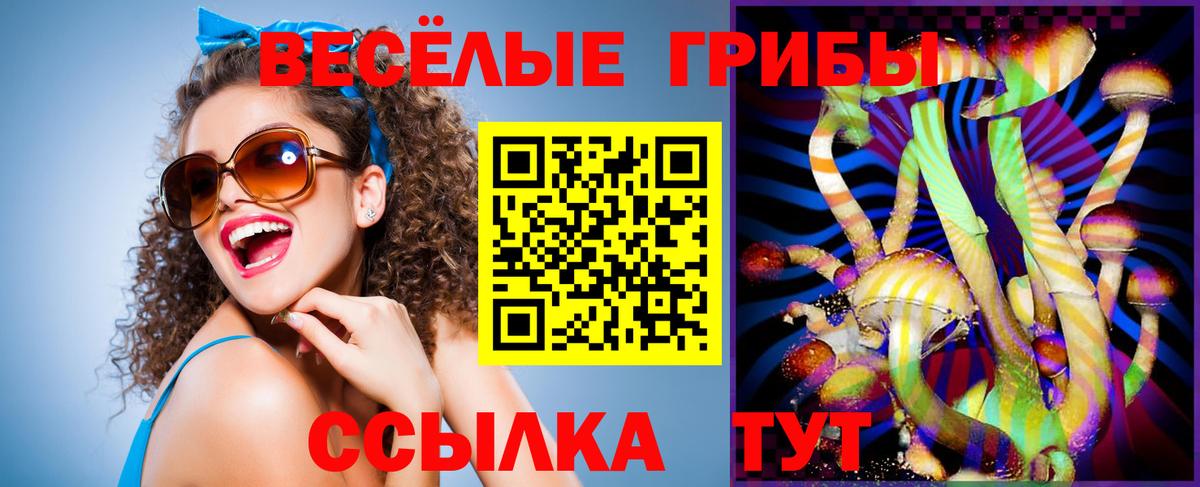 Галлюциногенные грибы мухоморы  Вход с VPN  Галлюциногенные грибы Psilocybe  Кулебаки 